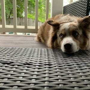 Meet your Posher, Debbie